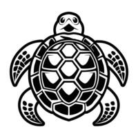 A turtle is shown in a black and white drawing vector