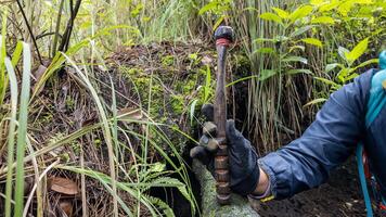 Exploration of a jungle using a tool to uncover hidden treasures in the ground photo