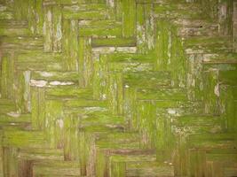 A green wall with a pattern of wood photo