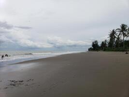 Tranquil Beach Scene with Palm Trees and People Swimming in the Ocean photo