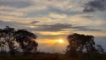 Silhouetted Trees against a Cloudy Sunset Sky photo