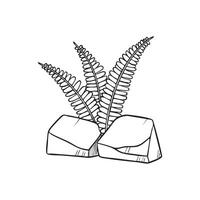 Fern growing from crack in stone wall vector