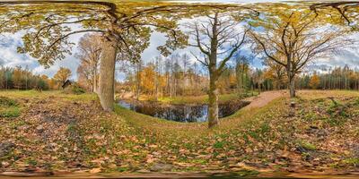 seamless spherical 360 hdri panorama in middle of oak forest near an abandoned pond or lake in golden autumn in equirectangular projection, ready VR AR virtual reality content photo