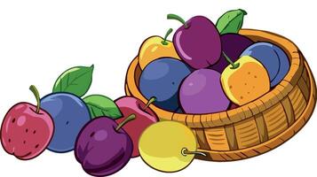 Freshly picked plums and apples overflowing from a woven basket vector