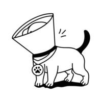Protective cone for pets to prevent licking or scratching wounds vector