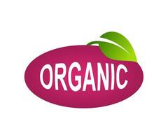 organic logo with green leaf symbol vector