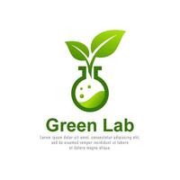 Green lab with leaf and bottle lab logo vector