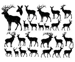Elegant Stag and Doe Silhouettes Template vector
