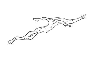 Driftwood black white illustration isolated on white. Gnarly branch, bark tree hand drawn graphic monochrome. Uneven tree branch, natural wood element for design. Dried tree branch sketch. vector