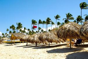 Parasols on beach photo