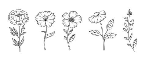 Collection of flowers in rustic hand drawn style. Minimalistic Herbal Botanical Doodle Set. Line art and clip art. Silhouette. editable strokes. Elements and shapes. Frame. Vintage sketch. Cut out vector