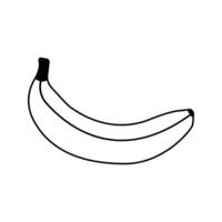Flat line banana. illustration. vector