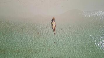 Aerial view of woman lying on the shore of tropical sea with starfish video