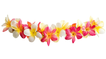 Beautiful Tropical Flower Lei Showcasing Vibrant Colors and Exotic Blooms Perfect for Celebrations, Events, or as a Decorative Piece on a White Background. png