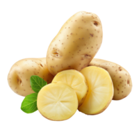 Potatoe, clipping path isolate on transparency background png