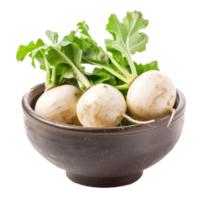 Turnips in a bowl front view isolate on transparency background png