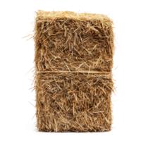 hay front view isolate on transparency background png