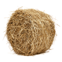 hay front view isolate on transparency background png