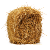 hay front view isolate on transparency background png