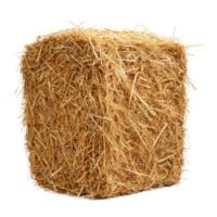 hay side view isolate on transparency background png