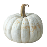 a white pumpkin on a transparent background png