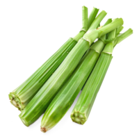 green celery on a transparency background png