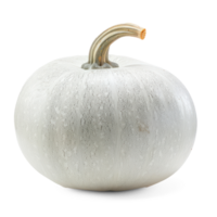 a white pumpkin on a transparent background png