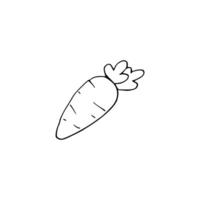 A carrot is drawn in a line on a white background vector