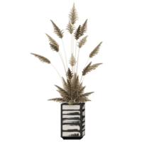 3d rendering of Phragmites australis tree isolated on transparent Canvas png