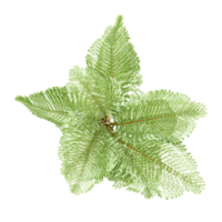 Top view of Oncosperma tigillarium tree isolated on transparent Canvas png