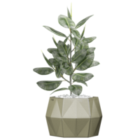 3d Rendering Of Rubber fig plant in white planter on Transparent Canva png