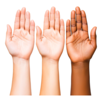 Diverse Human Hands Displaying Unity and Inclusivity in Diversity png