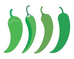 Fresh green hot chili pepper collection vector