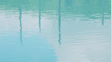 Reflected image of bare tree branches on the lake surface video