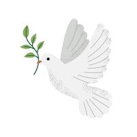 White dove holding an olive branch. A universal symbol of peace and hope. Colorful flat illustration isolated on white background. vector