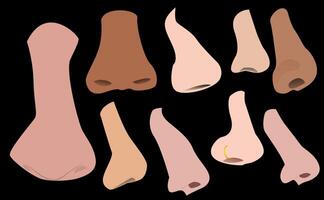 Illustration of types and shapes of human noses, suitable for your creative designs vector