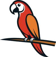 Parrot isolated on white background vector