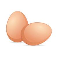 3D Realistic Chicken eggs isolated on white background vector