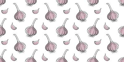 Seamless pattern with hand drawn garlic bulb and clove on white background. Vegetable background. vector