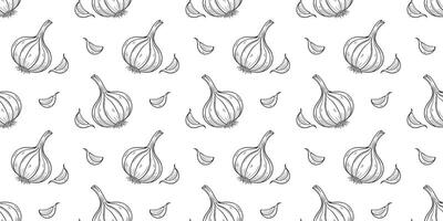 Seamless pattern with hand drawn garlic bulb and clove. Vegetable background. vector