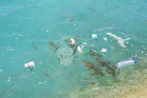Plastic waste, leaves, and debris floating on clear seawater near the rocky shore photo