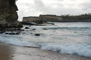 Coastline of the island. beautiful creature photo