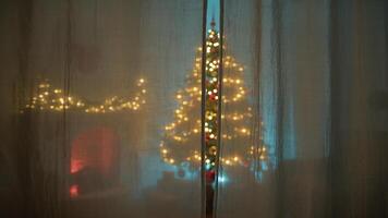 From The Curtain Of A House You Can See The Christmas Tree Lit Up at night photo