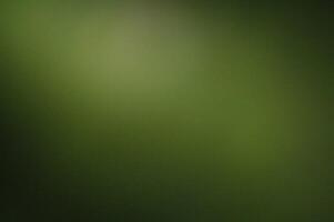 Abstract Green Background With Soft Gradient Texture And Grain photo