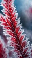 Macro shot of a red frosted leaf with intricate ice crystals. Detailed close-up of winter foliage against a blurred blue background photo