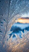 Close-up of frost-covered leaves with sunlight shining through, against a blurred snowy winter background. Macro photography photo