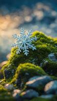 Crystal snowflake on vibrant green moss with blurred natural background. Winter and nature concept with seasonal decoration photo