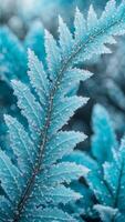 Macro shot of frosted branch covered in delicate ice crystals against a blurred blue vertical background. Closeup of winter nature photo