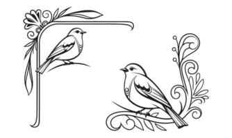 two birds sitting on a branch in a frame vector