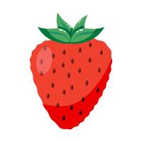 Red strawberry with green leaves and seeds on white background. Fresh fruit and healthy eating concept. Design for poster, card, banner and print. vector